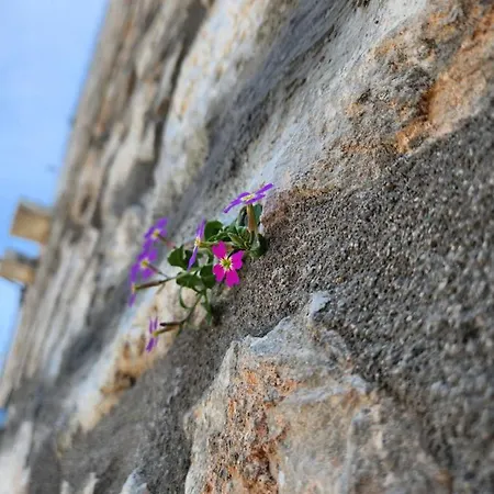 Apartamento Myrto's Luxury *