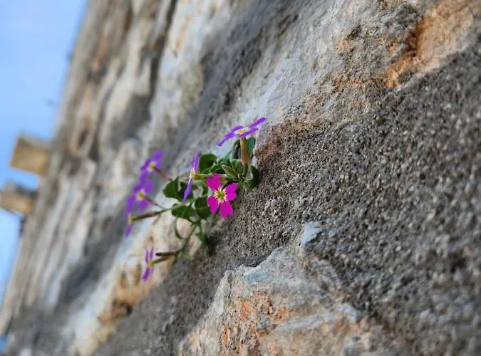 Daire Myrto's Luxury *